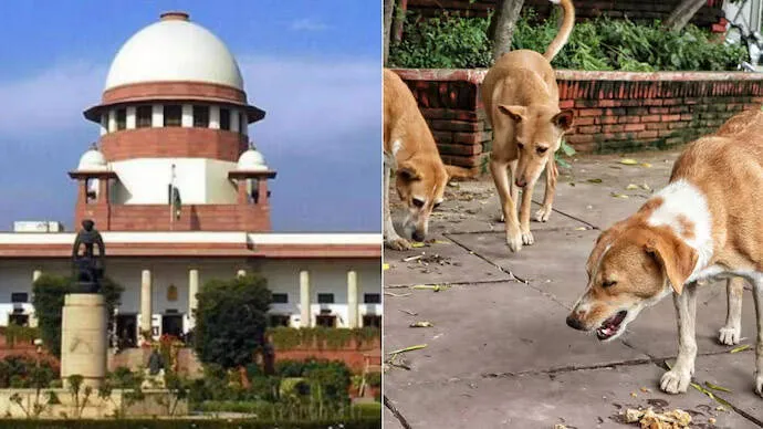 supreme-court.1.3657438