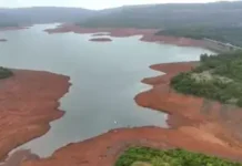 Koyna Dam Water Level: कोयना धरणातील पाणीसाठा ऐतिहासिक नीचांकावर; नवजा गावातील मानाईदेवी मंदिराचे प्राचीन अवशेष उघड्यावर