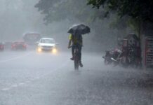 Maharashtra Rain Updates: कोकणासह राज्यातील बहुतांश भागांत वादळी वाऱ्यासह मुसळधार पावसाची शक्यता; ३० जिल्ह्यांना ‘यलो अलर्ट’