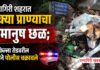 रत्नागिरीत भटक्या कुत्र्यावर अत्याचार; अज्ञात व्यक्तीविरोधात गुन्हा दाखल