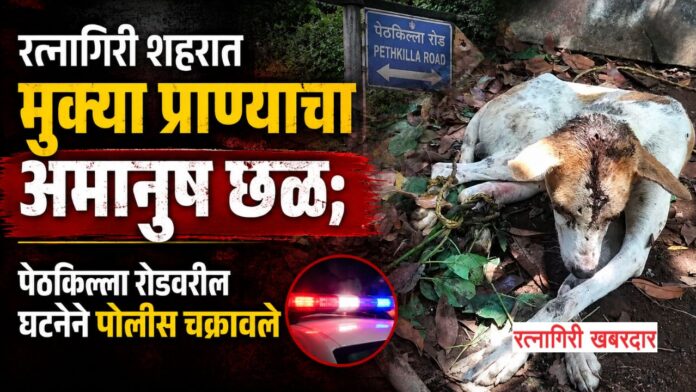 Copy of दिवाळीची खरेदी होईल खास, कारण पैठणीचा मान मिळेल फक्त ४९९ रुपयांस! - 2026-06-08T110055.380