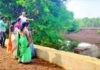 Guhagar Water Conservation: गुहागर तालुक्यात साडेतीन वर्षांत उभारलेल्या ४० बंधाऱ्यांची जिल्हा पातळीवरून उच्चस्तरीय पाहणी