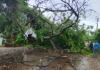 Ratnagiri Ganpatipule Road Block: वादळी पावसामुळे शिरगाव-गडगेवाडी येथे झाड कोसळले; रत्नागिरी-गणपतीपुळे मुख्य मार्ग पूर्णतः ठप्प