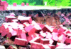 Dapoli Hotel Wall Collapse: दापोलीत मुसळधार पाण्याचा तडाखा; हॉटेलची ६० फूट लांब संरक्षक भिंत कोसळली