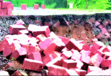 Dapoli Hotel Wall Collapse: दापोलीत मुसळधार पाण्याचा तडाखा; हॉटेलची ६० फूट लांब संरक्षक भिंत कोसळली