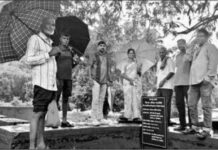 Medhe Tarf Phungus Flood: मेढे तर्फे फुणगूस गावात पुराचे पाणी शेतात; भातशेतीचे मोठे नुकसान