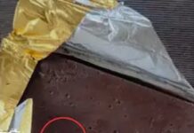 Akola Chocolate Worms: धक्कादायक! चॉकलेटमध्ये आढळल्या जिवंत आळ्या; व्हिडिओ सोशल मीडियावर व्हायरल