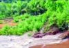 Sangameshwar Farmer Crisis: मेढे तर्फे फुणगूसमध्ये नदीच्या प्रवाहाने बदलला मार्ग; शेतजमीन पूर्णपणे बाधित झाल्याने बळीराजा हवालदिल