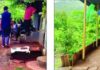 Dapoli Asud Land Cracks: आसूद गावातील भेगाग्रस्त परिसराची तहसीलदार अर्चना बोंबे यांच्याकडून प्रत्यक्ष पाहणी