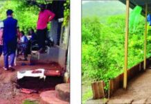 Dapoli Asud Land Cracks: आसूद गावातील भेगाग्रस्त परिसराची तहसीलदार अर्चना बोंबे यांच्याकडून प्रत्यक्ष पाहणी