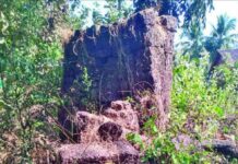 Satavali Gadhi Lanja : लांजातील ऐतिहासिक ‘साटवली गढी’ होणार राज्य संरक्षित स्मारक; पुरातत्व विभागाकडून हालचाली सुरू