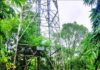 Chiplun Mobile Tower: टेरव येथील बंद पडलेला मोबाईल टॉवर बदलण्याची मागणी; जिल्हाधिकार्यांना सरपंचांचे निवेदन
