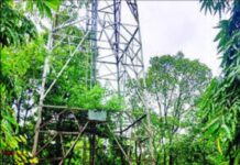 Chiplun Mobile Tower: टेरव येथील बंद पडलेला मोबाईल टॉवर बदलण्याची मागणी; जिल्हाधिकार्यांना सरपंचांचे निवेदन