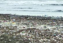Dapoli Beach Cleanliness Issue: दापोलीचे निसर्गरम्य समुद्रकिनारे अडकले कचऱ्याच्या विळख्यात; प्लास्टिक अन् घनकचऱ्याचे साम्राज्य