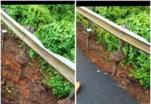 Mumbai Goa Highway Kashedi Ghat Damage: कशेडी घाटात साईड पट्टीचा भराव वाहून रस्ता खचला; लोखंडी गर्डर हवेत लटकल्याने प्रवाशांच्या सुरक्षेचा प्रश्न गंभीर