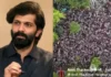 Amit Thackeray On NEET Protest: ‘लाजा वाटल्या पाहिजेत या सरकारला!’; जंतरमंतरवरील लाठीचारावरून अमित ठाकरेंचा सरकारवर जोरदार हल्लाबोल