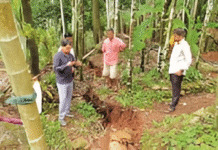 दापोलीतील मळे-सुतारवाडीत डोंगराला २ किमीच्या भेगा; भूस्खलनाच्या धोक्यामुळे ग्रामस्थांचे तातडीने स्थलांतर सुरू
