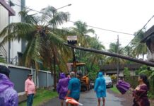 Ratnagiri MSEDCL: स्टेट बँक कॉलनी परिसरात माड तुटून विद्युत तारांवर कोसळला; महावितरण आणि नगर परिषदेची तत्पर कारवाई