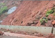Chiplun Monsoon Damage: चिपळूण तालुक्याला मुसळधार पावसाचा तडाखा; ६ गावे अंधारात, महामार्गावर दरड तर अनेक ठिकाणी कोसळली झाडे