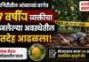 Ratnagiri Death Case : रत्नागिरीतील आंब्याच्या बागेत ६७ वर्षीय व्यक्तीचा कुजलेल्या अवस्थेतील मृतदेह आढळला