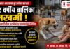 Stray Dog Attack Lanja : लांजात भटक्या कुत्र्यांच्या हल्ल्यात चार वर्षीय बालिका जखमी; सार्दळवाडीतील घटनेनंतर पालकांमध्ये चिंता