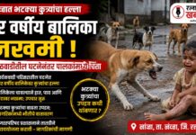 Stray Dog Attack Lanja : लांजात भटक्या कुत्र्यांच्या हल्ल्यात चार वर्षीय बालिका जखमी; सार्दळवाडीतील घटनेनंतर पालकांमध्ये चिंता