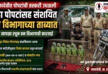 Parrot Smuggling Ratnagiri : जाकादेवीत पोपटांची तस्करी उधळली; सहा पोपटांसह संशयित वन विभागाच्या ताब्यात