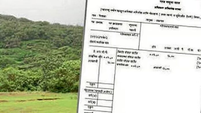 WhatsApp Image 2026-08-03 at 12.50.31 PM