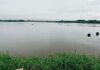 Vashishti River Water Crisis Chiplun Mirjoli: वाशिष्ठी नदीतील ४ अडथळ्यांमुळे ३ गावांचा पाणीप्रश्न बिकट; १५ ऑगस्टला उपोषणाचा इशारा