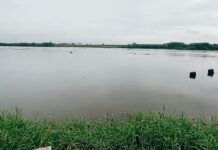 Vashishti River Water Crisis Chiplun Mirjoli: वाशिष्ठी नदीतील ४ अडथळ्यांमुळे ३ गावांचा पाणीप्रश्न बिकट; १५ ऑगस्टला उपोषणाचा इशारा