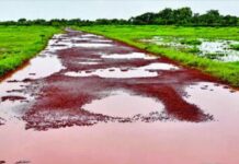 Sagve Bumbewadpawadi Road Potholes: सागवे बुरंबेवडपवाडी रस्त्याची अत्यंत दयनीय अवस्था; तातडीने डांबरीकरणाची ग्रामस्थांची मागणी