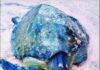 Ganeshgule Beach Injured Sea Turtle: गणेशगुळे समुद्रकिनाऱ्यावर आढळले जखमी कासव; कांदळवन विभागाकडून तातडीने उपचार सुरू
