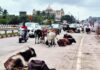 Ratnagiri TRP Highway Stray Cattle Hazard: टीआरपी परिसरात गुरांचा ठिय्या; अपघाताची भीती अन् नागरिक हैराण