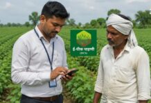 Digital Peek Pahani: तलाठ्यांच्या बहिष्कारामुळे राज्यात डिजिटल पीक पाहणी रखडली; अवघ्या ६ टक्के क्षेत्रावरील पिकांची नोंद