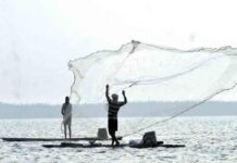 Ratnagiri Purse Seine Net Fishing Dispute 2026: १२ नॉटीकल मैलाच्या आत बेकायदेशीर मासेमारी; शाश्वत मच्छिमार हक्क संघ आक्रमक