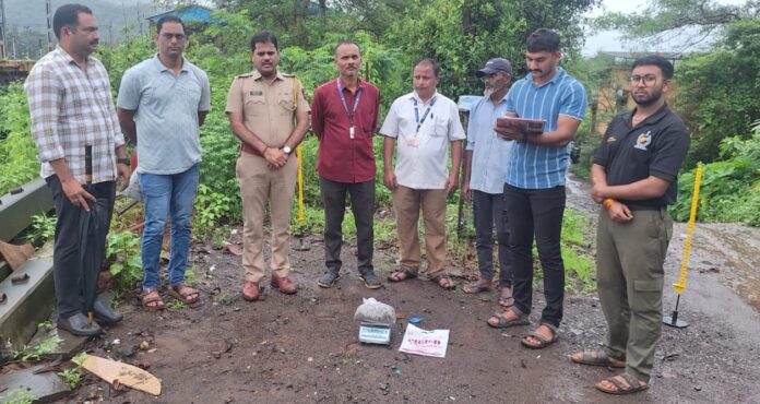 image_editor_output_image-1733056996-1785573640632-696x370