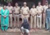 Dapoli Police Theft Case Son in Law Arrested: सासूच्या घरातील पावणेनऊ लाखांचे दागिने लांबवणारा जावई जेरबंद; दापोली पोलिसांची २४ तासांत धडक कारवाई!
