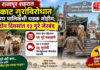 राजापूर शहरात मोकाट गुरांविरोधात नगर पालिकेची धडक मोहीम; दोन दिवसांत १३ गुरे जेरबंद