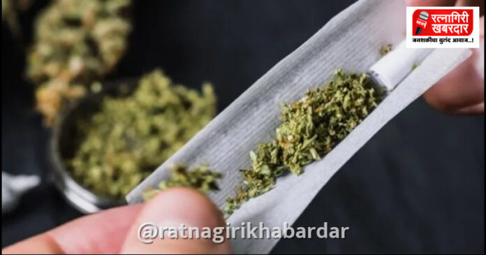 रत्नागिरी : भाट्ये समुद्रकिनारी गांजा बाळगणारे दोघे पोलिसांच्या जाळ्यात