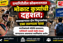 रत्नागिरीतील कोकणनगरात मोकाट कुत्र्यांची दहशत; आठवडाभरात दोन चिमुरड्यांसह एका तरुणाला चावा रत्नागिरीतील कोकणनगरात मोकाट कुत्र्यांची दहशत; आठवडाभरात दोन चिमुरड्यांसह एका तरुणाला चावा