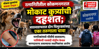रत्नागिरीतील कोकणनगरात मोकाट कुत्र्यांची दहशत; आठवडाभरात दोन चिमुरड्यांसह एका तरुणाला चावा