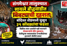 संगमेश्वर तालुक्यात सायले बौद्धवाडीत बिबट्याची दहशत; बंदिस्त शेडमध्ये घुसून ३५ कोंबड्यांचा फडशा संगमेश्वर तालुक्यात सायले बौद्धवाडीत बिबट्याची दहशत; बंदिस्त शेडमध्ये घुसून ३५ कोंबड्यांचा फडशा