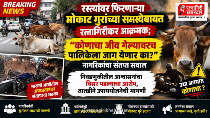 रस्त्यांवर फिरणाऱ्या मोकाट गुरांच्या समस्येबाबत रत्नागिरीकर आक्रमक; "कोणाचा जीव गेल्यावरच पालिकेला जाग येणार का?" नागरिकांचा संतप्त सवाल रस्त्यांवर फिरणाऱ्या मोकाट गुरांच्या समस्येबाबत रत्नागिरीकर आक्रमक; "कोणाचा जीव गेल्यावरच पालिकेला जाग येणार का?" नागरिकांचा संतप्त सवाल