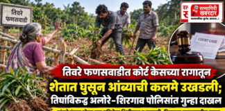 तिवरे फणसवाडीत कोर्ट केसच्या रागातून शेतात घुसून आंब्याची कलमे उखडली; तिघांविरुद्ध अलोरे-शिरगाव पोलिसांत गुन्हा दाखल