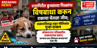 रत्नागिरीत कुत्र्याच्या पिल्लांना विषबाधा करून एकाचा घेतला जीव; अज्ञाताविरुद्ध शहर पोलिसांत गुन्हा दाखल