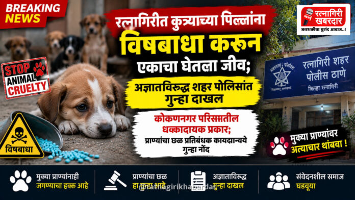 रत्नागिरीत कुत्र्याच्या पिल्लांना विषबाधा करून एकाचा घेतला जीव; अज्ञाताविरुद्ध शहर पोलिसांत गुन्हा दाखल रत्नागिरीत कुत्र्याच्या पिल्लांना विषबाधा करून एकाचा घेतला जीव; अज्ञाताविरुद्ध शहर पोलिसांत गुन्हा दाखल