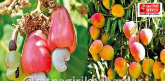 रत्नागिरी येथे मँगो व कॅश्यू पार्कसाठी भूसंपादन मोबदला वाटपास सुरुवात: पाच खातेदारांना १५ कोटी रुपयांचे वाटप