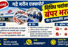 रत्नागिरीत ‘गद्रे मरीन एक्सपोर्ट’मध्ये विविध पदांसाठी बंपर भरती; थेट मुलाखतींचे आयोजन