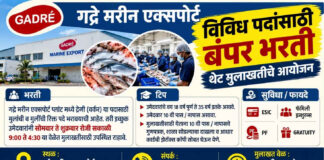 रत्नागिरीत ‘गद्रे मरीन एक्सपोर्ट’मध्ये विविध पदांसाठी बंपर भरती; थेट मुलाखतींचे आयोजन