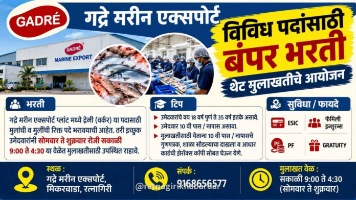 रत्नागिरीत ‘गद्रे मरीन एक्सपोर्ट’मध्ये विविध पदांसाठी बंपर भरती; थेट मुलाखतींचे आयोजन रत्नागिरीत ‘गद्रे मरीन एक्सपोर्ट’मध्ये विविध पदांसाठी बंपर भरती; थेट मुलाखतींचे आयोजन